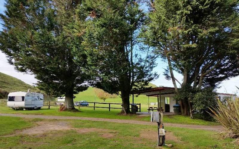 Tokoroa Motor Camp Full Service Camp New Zealand